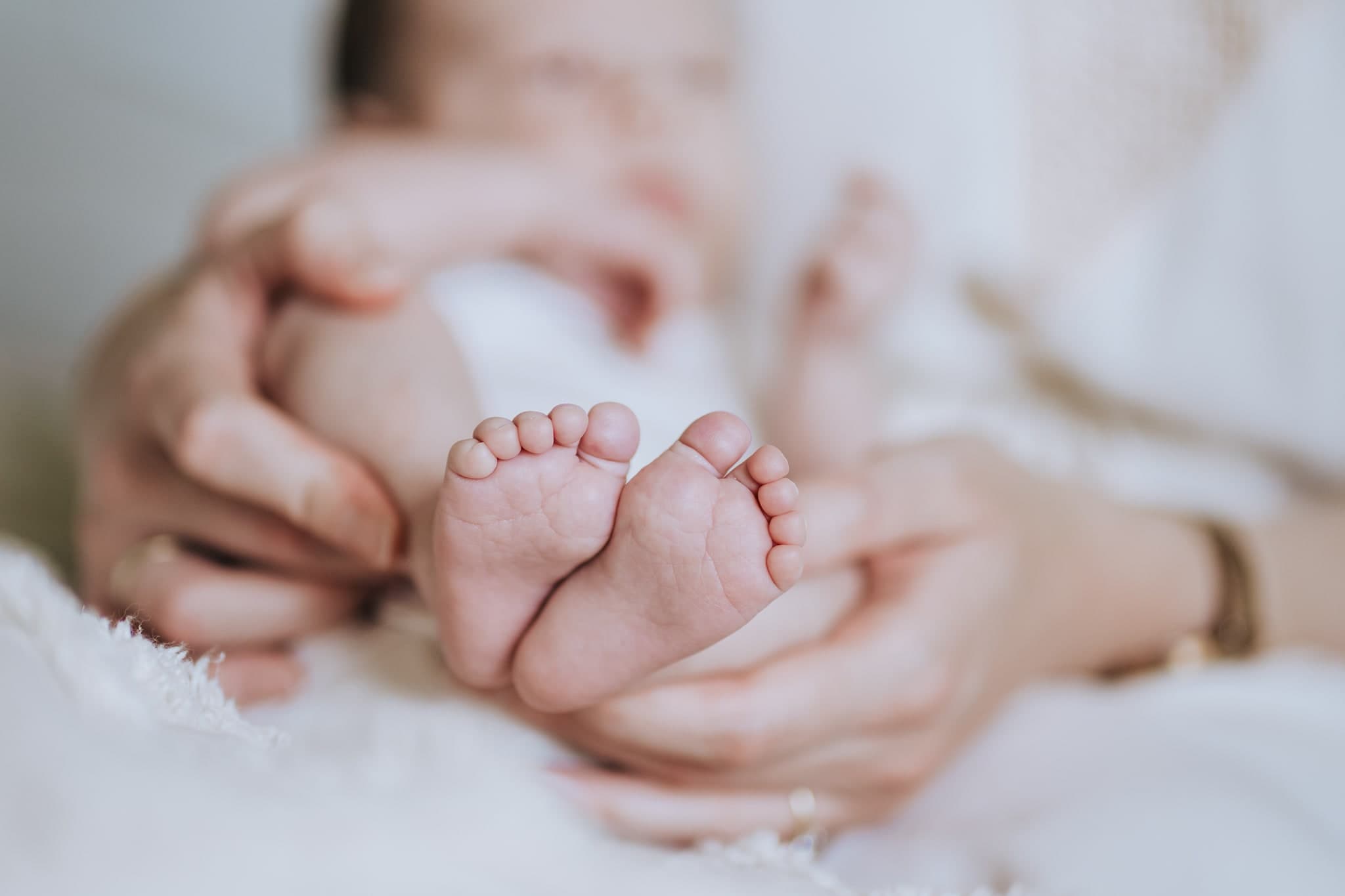 Assets – 81. kép – Fülöp Péter fotográfus